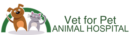 Vet for Pet Animal Hospital